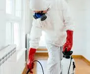 Bed Bug Support thumbnail