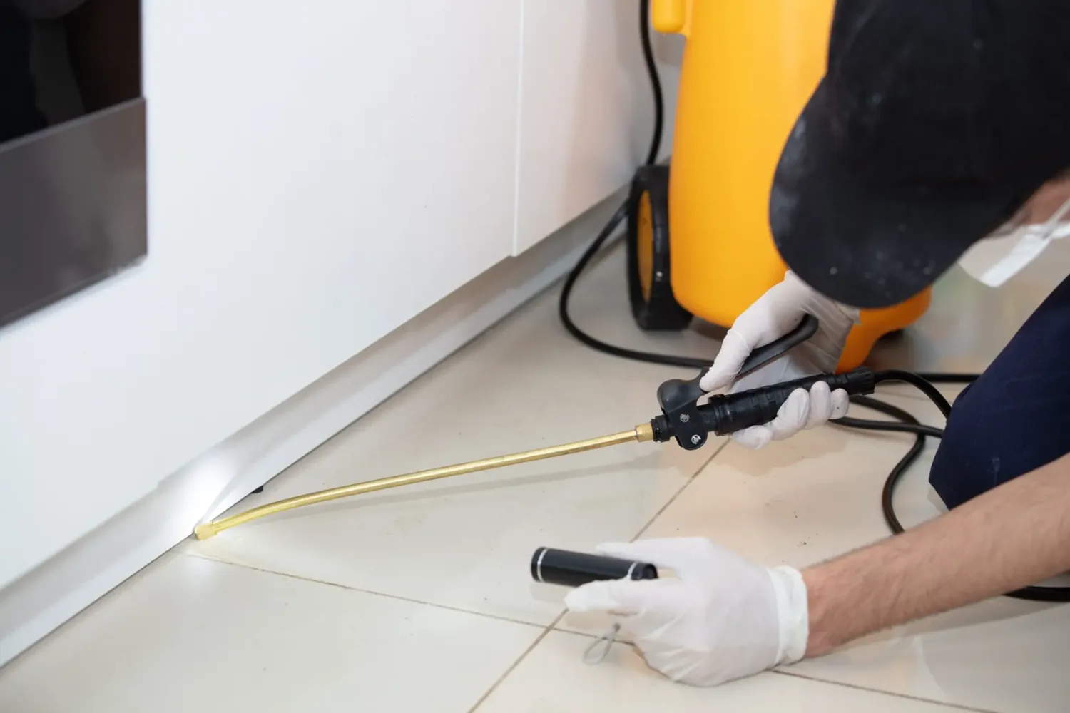Roach Control service setting